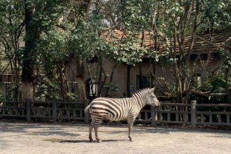 Shanghai Zoo